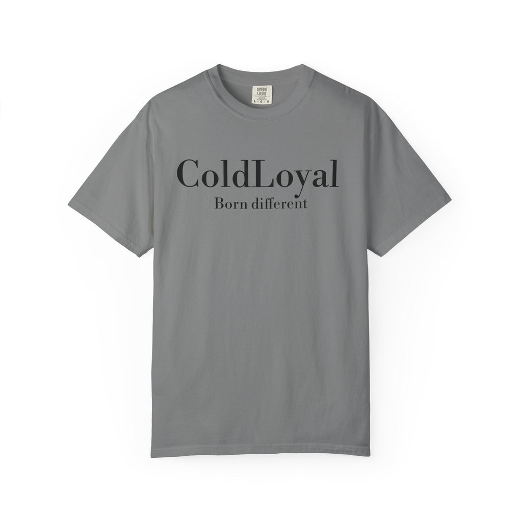 Unisex Garment-Dyed T-shirt, Vintage Style Tee, Gender-Neutral Shirt, Casual Outfit, Birthday Gift, Everyday Wear
